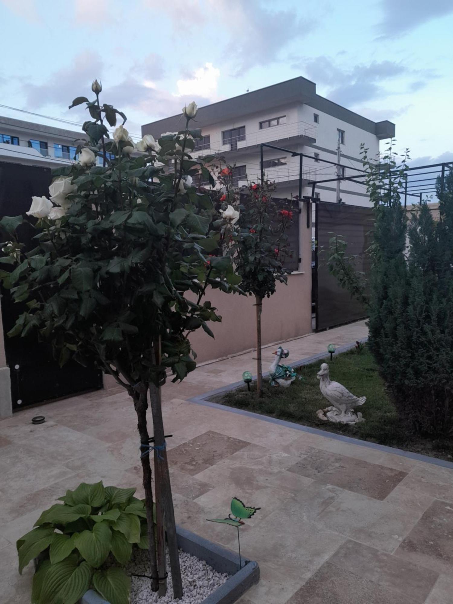 Casa Andrei Apartment Năvodari Exterior foto